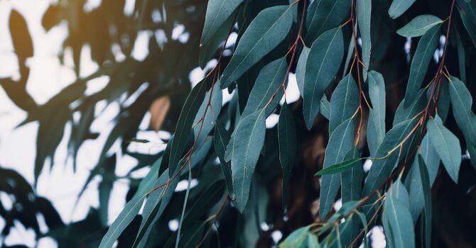 What's Going On When Your Hips Are Making Noise?